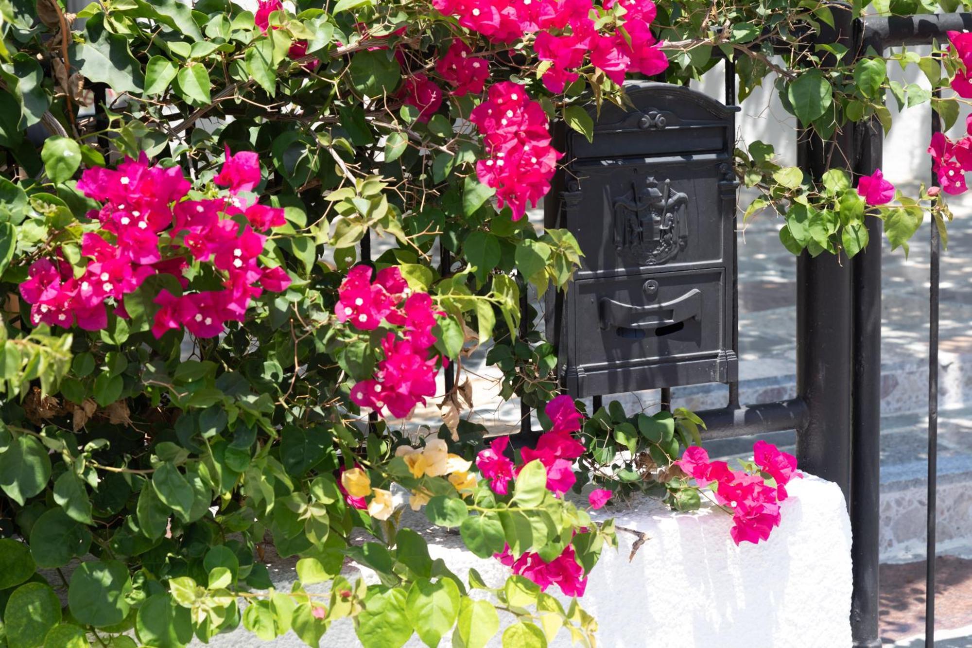 Limassol Akrotiri Beach Vine Cottage A מראה חיצוני תמונה
